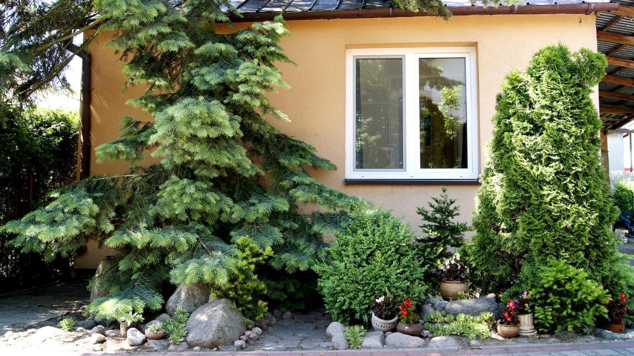 Mini Studio Apartment Augustow Exterior photo